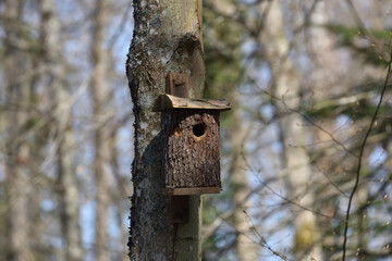 a nest box made of a tree trunk