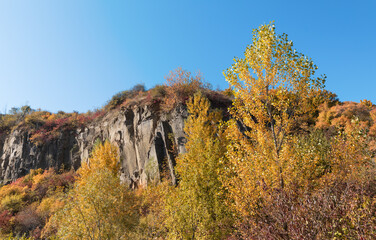 Old quarry. Rocks and yellow trees
