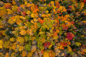 autumn in the Vermont mountains
