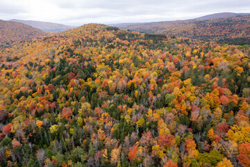 fall landscape in the mountains of Vermont
