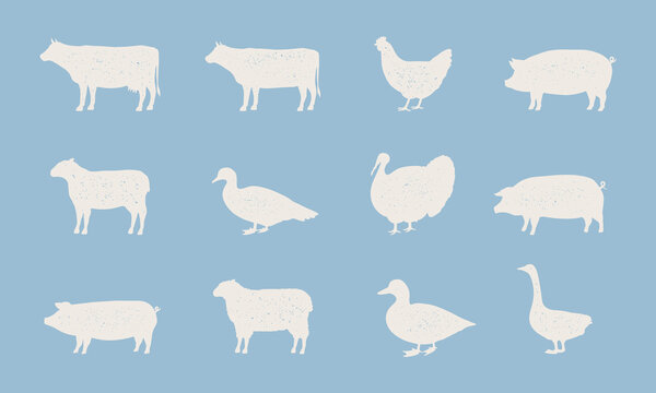 Farm Animals silhouettes set. Farm animals icons isolated on blue background. Cow, Hen, Pig, Sheep, Turkey. Vector illustration