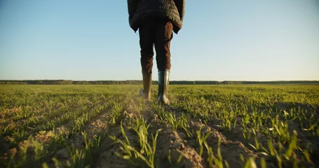 Poster Slow Motion: boer loopt door een jong tarwegroen veld. Onderaanzicht van een man die in rubberen laarzen loopt in het veld van een boer, blauwe lucht boven de horizon. Mens die op landbouwgebied loopt © Valua Vitaly