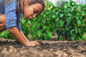 The child is planting a plant in the garden. Selective focus.