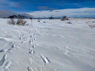 Amazing Winter panorama of Vitosha Mountain, Bulgaria