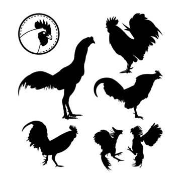 Rooster Chicken set Inspiration Logo Silhouette, Rooster Crow, Fighting Rooster, Chicken Head