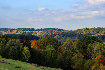 Rural landscape with various trees in autumn colors