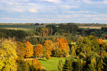 Fototapeta na wymiar Rural landscape with various trees in autumn colors