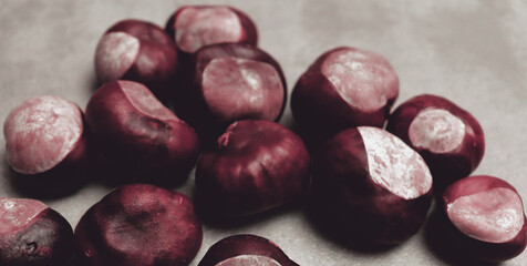 Obraz premium Nature wallpaper with many chestnut on table