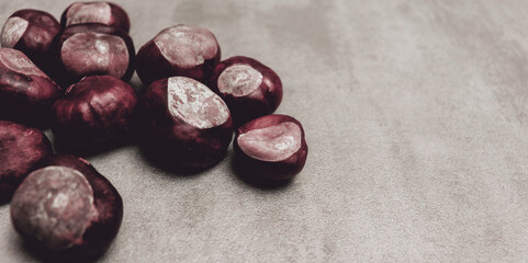 Abstract autumn chestnuts on gray table