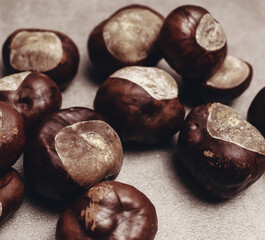 Obraz premium Chestnut background for banner concept
