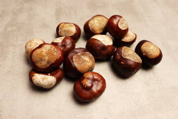 Beautiful autumn texture with chestnut