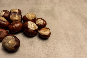 Beautiful autumn chestnut on gray table