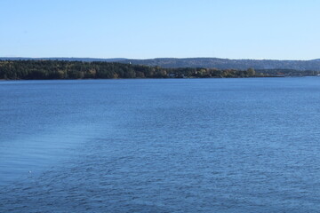 lake in the forest