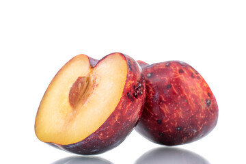 Two halves of a juicy purple plum, close-up, isolated on white.