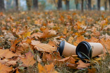 An empty paper coffee cup lies on the ground in the park. Environmental pollution