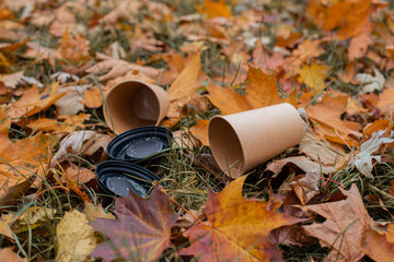 An empty paper coffee cup lies on the ground in the park. Environmental pollution