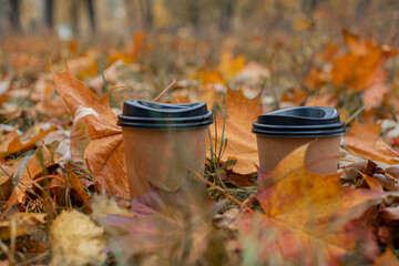 Two cups of coffee among beautiful autumn leaves, beautiful autumn, autumn atmosphere, love