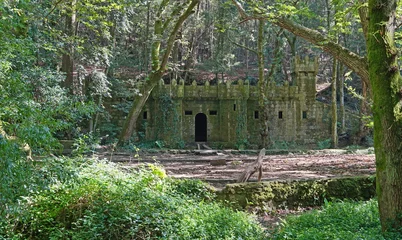 Fotobehang Betoverde Bos Abandoned castle in the enchanted forest of Aldan, Spain, Galicia, Pontevedra province  © dam