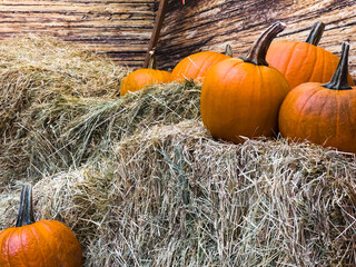 Autumn decoration. Orange pumpinks laying in hay with decorative rustic wood in the background.