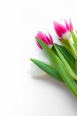 Bouquet of tulips on a white background . Banner with a place for the text. Colored flowers. White background. Copy space