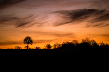 Fototapeta na wymiar Beautifull sunset at the hill with trees