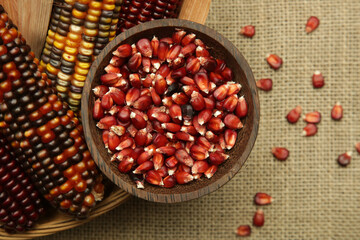 Decorative Indian corn seeds in bowl. Multi Colored flint corn on wooden background with copy space.