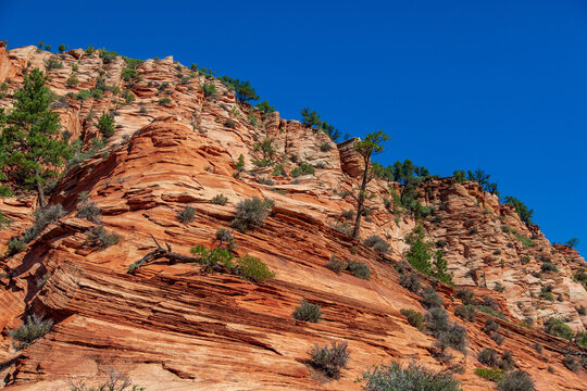 Zion National Park