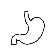 Stomach icon. Vector. Line style.