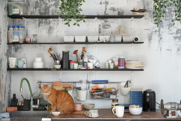 Cat near sink in pottery
