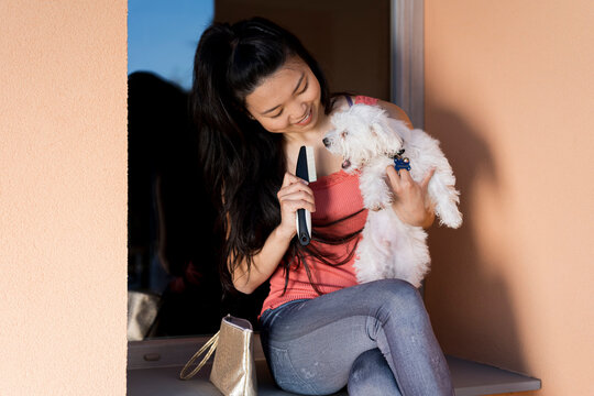 Maltese dog who does not want to have his coat brushed
