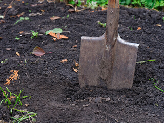 A rusty shovel in the ground