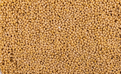 Urad Whole Dal White Top Angle Flat-lay  Background or Texture