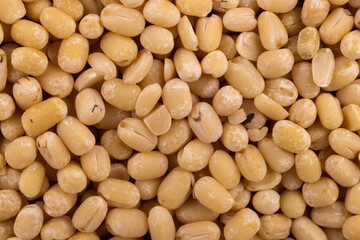 Urad Whole Dal White Top Angle Flat-lay  Background or Texture Macro or Micro image