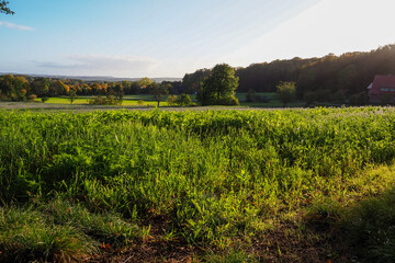 Obraz premium peaceful countryside landscape 