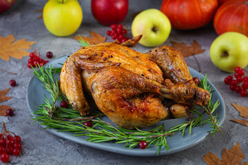 Baked whole chicken or turkey. Roasted homemade chicken with herbs. Thanksgiving day decoration