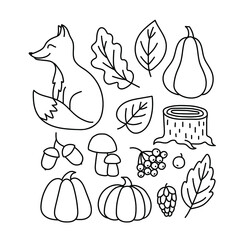 A set of autumn drawings. Contour image of a fox, pumpkin, mushrooms, fallen leaves, a stump, berries. black drawing of autumn forest plants and animals for stickers, decor, postcards. Vector clipart