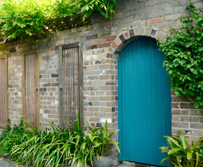 Wooden peacock blue back door with tone archway and wall. Wall has other, unpainted wooden doors as decoration. Plants grow along the bottom and top of the wall.