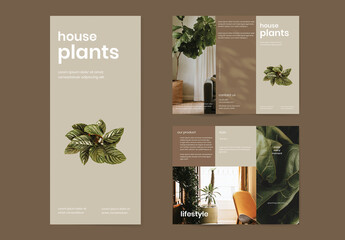 House Plant Shop Brochure Layout