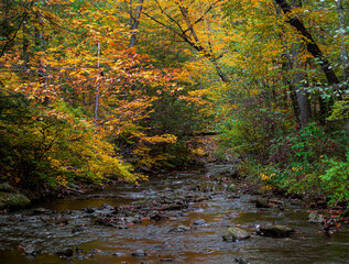 willard brook on a cloudy october day