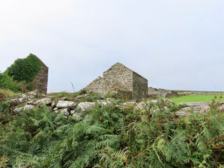 Empty moore landscape in England with stone walls and old house in the distance