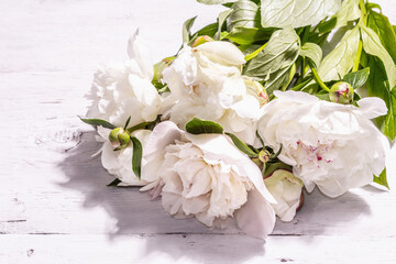 Bouquet of fresh white peonies on white old planks background