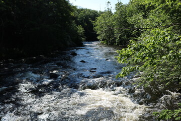 river stream nature