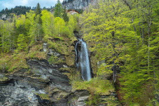 Reichenbach Waterfall. The Reichenbach Falls are a waterfall cascade of seven steps on the stream called Rychenbach in the Bernese Oberland region of Switzerland