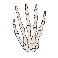 Vector hand drawn doodle sketch colored skeleton hand isolated on white background