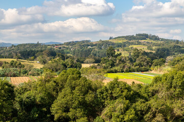 Obraz premium Farm plantation and forest