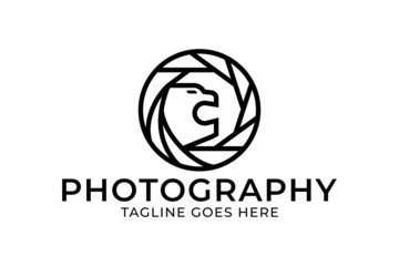 photography logo design, lion logo design, studio logo template