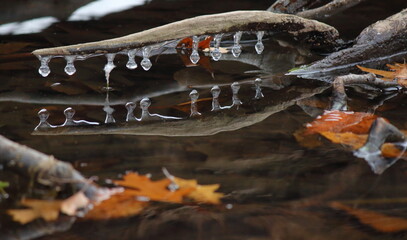 glaçons d'eau d'origine naturelle début de l'hiver
