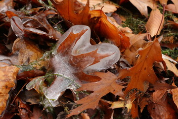 glaçons d'eau d'origine naturelle début de l'hiver