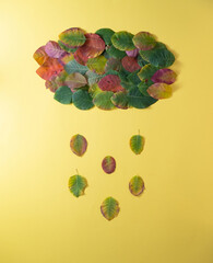Autumn leaves on yellow paper in the shape of rain. Autumn concept.Flat lay