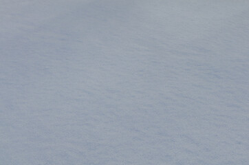 The first snow fell densely.